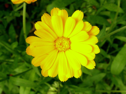 431764 (a): :1600x1200